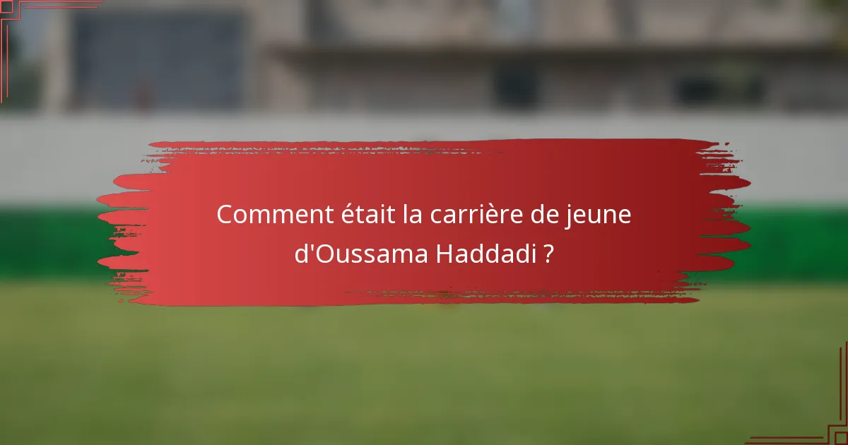 Comment était la carrière de jeune d'Oussama Haddadi ?