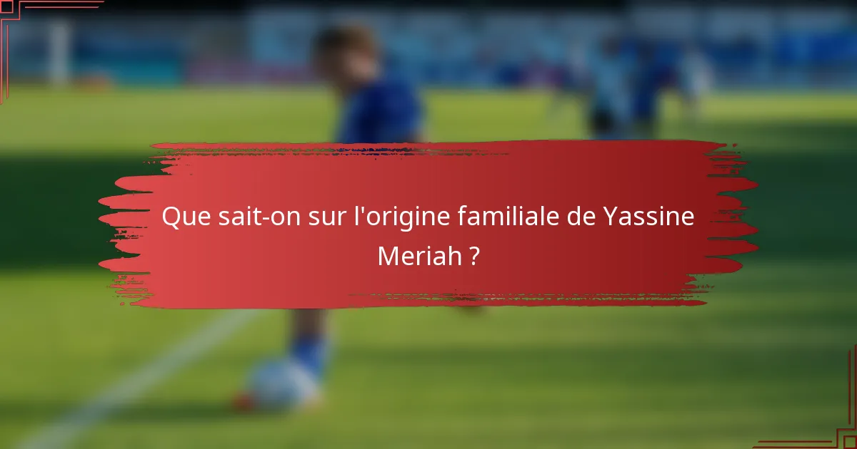 Que sait-on sur l'origine familiale de Yassine Meriah ?