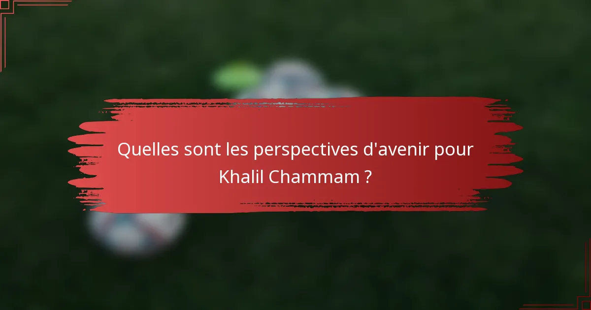 Quelles sont les perspectives d'avenir pour Khalil Chammam ?