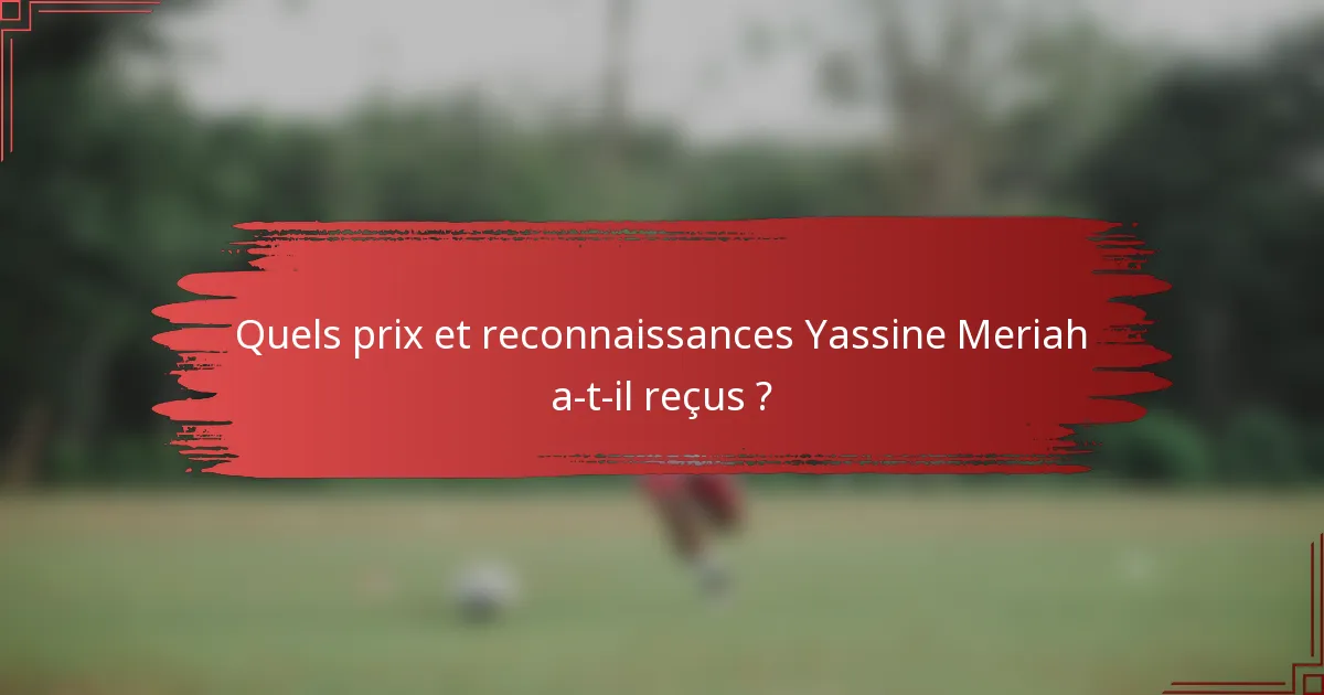 Quels prix et reconnaissances Yassine Meriah a-t-il reçus ?